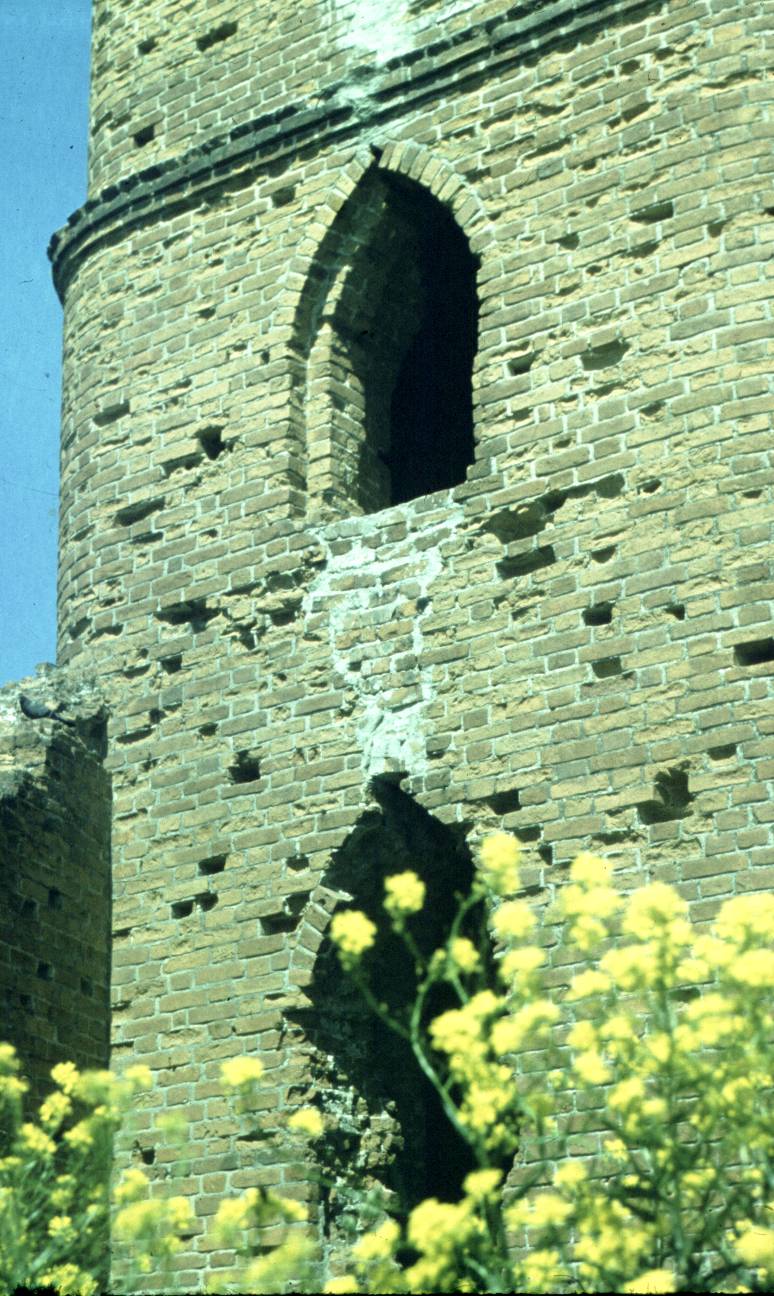084-1.jpg
