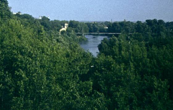 121.jpg