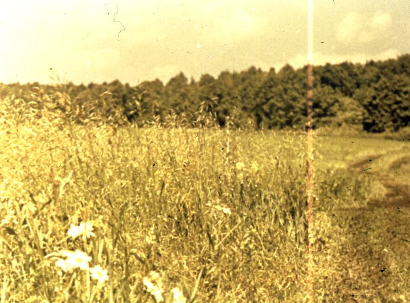 052.jpg