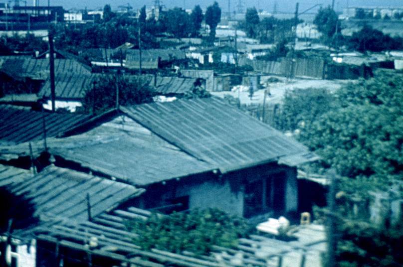 103.jpg