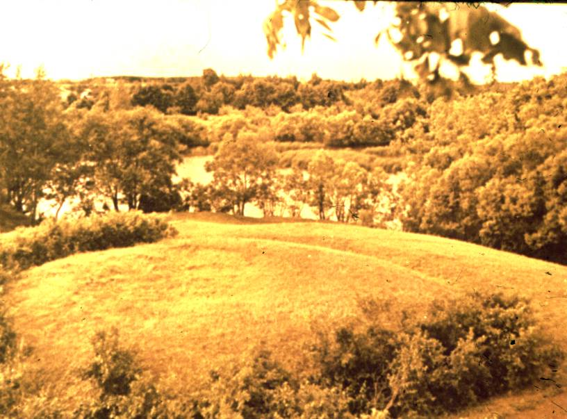 107.jpg