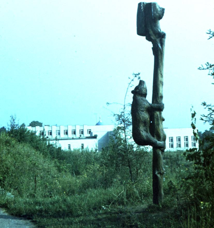 128.jpg
