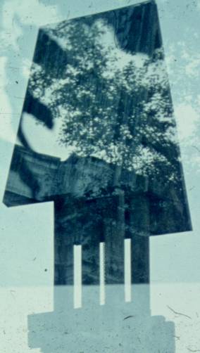 134.jpg