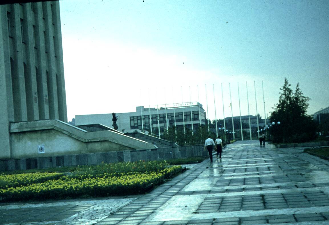 206.jpg