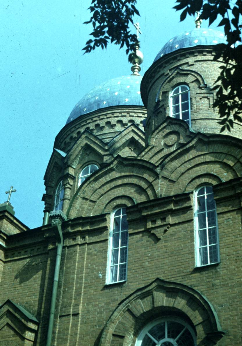 219.jpg