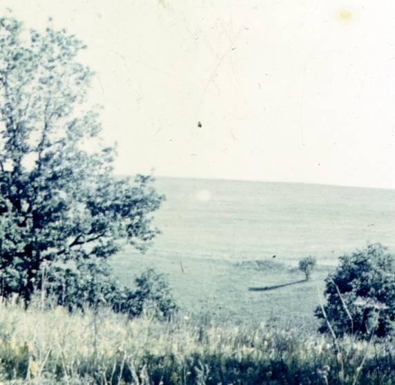 003.jpg