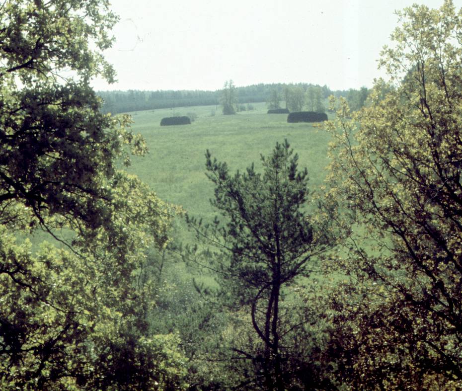 125.jpg