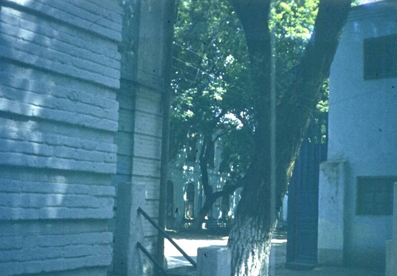021.jpg