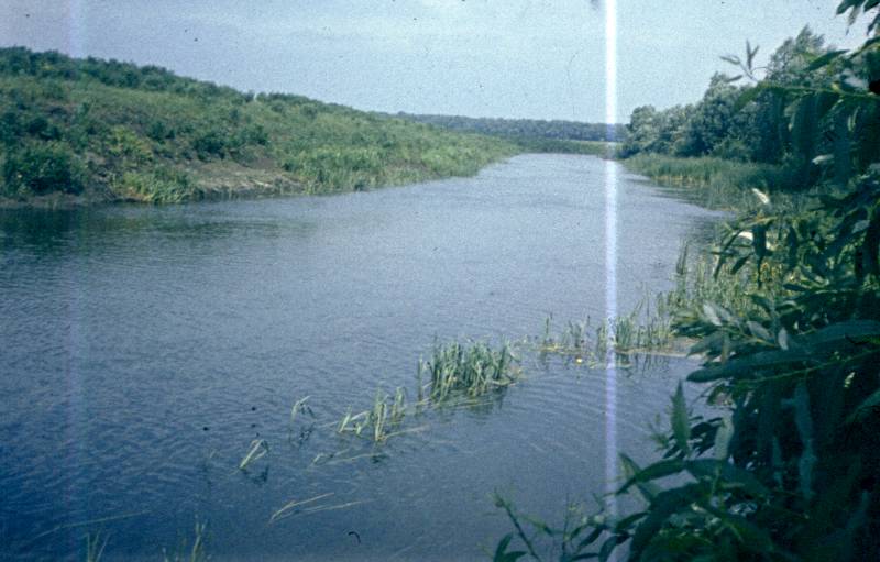048.jpg