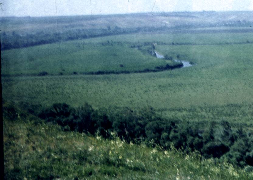 056.jpg