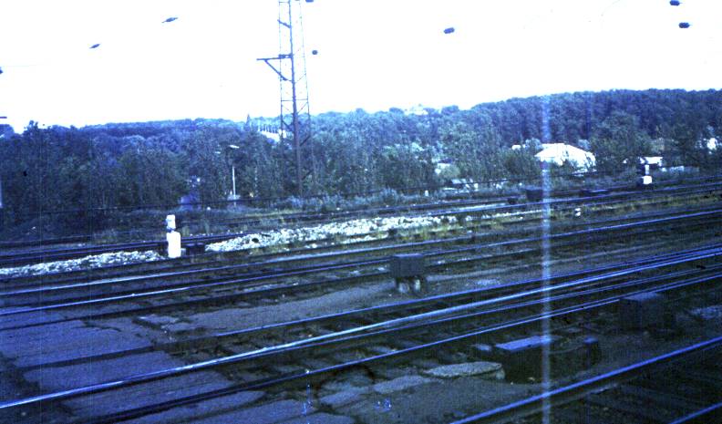 163.jpg