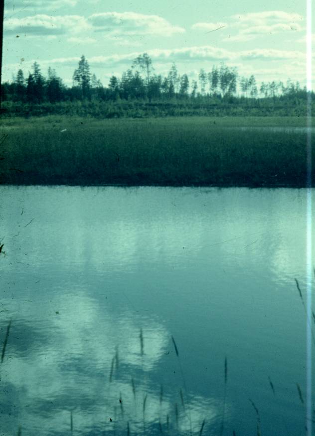 166.jpg