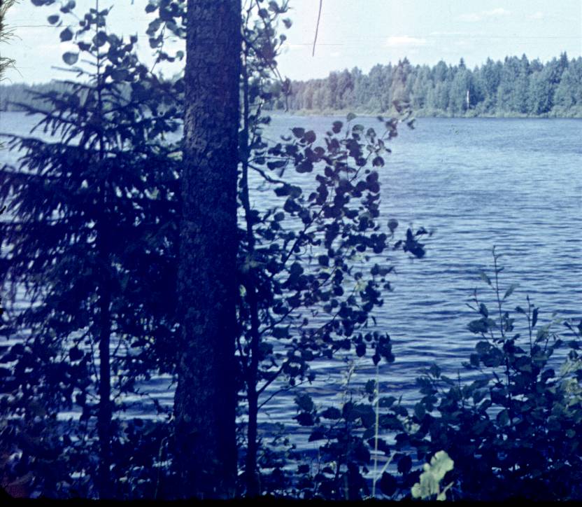167.jpg