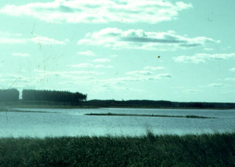 174-2.jpg