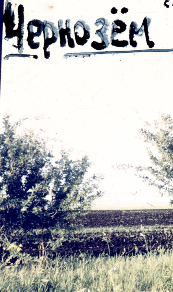 175.jpg