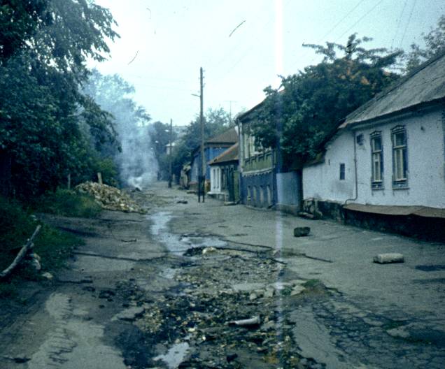 179.jpg