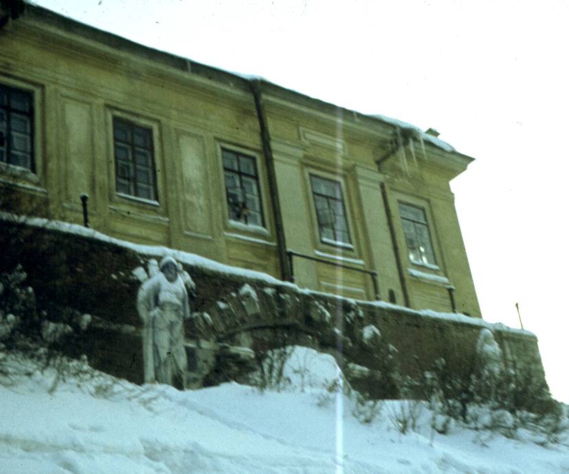 203.jpg
