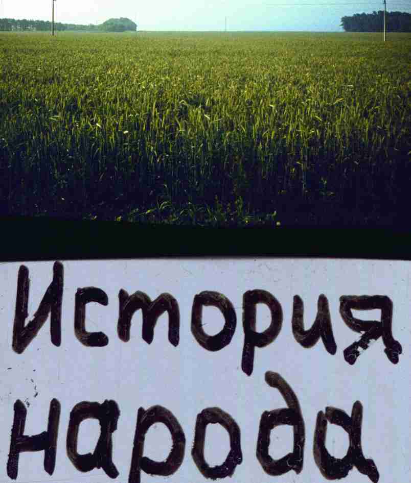 114.jpg