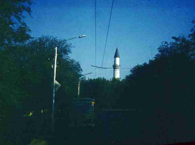 197.jpg