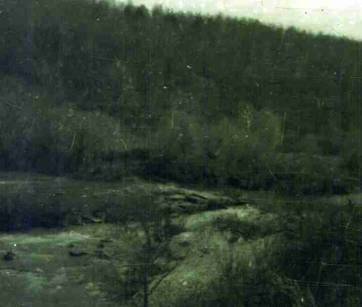 239.jpg