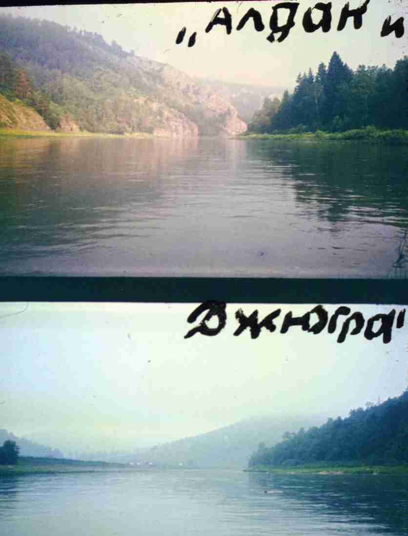 262.jpg