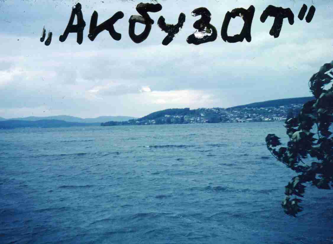 265.jpg