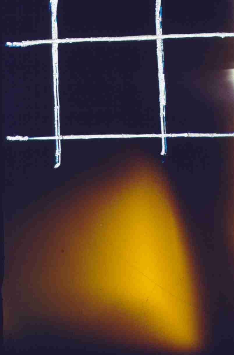 319.jpg