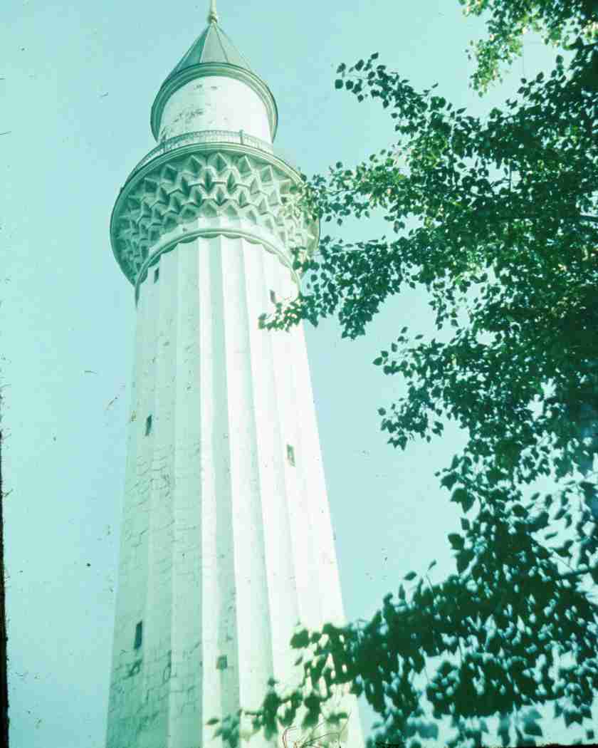 368.jpg