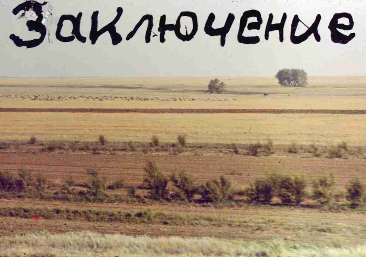 377.jpg