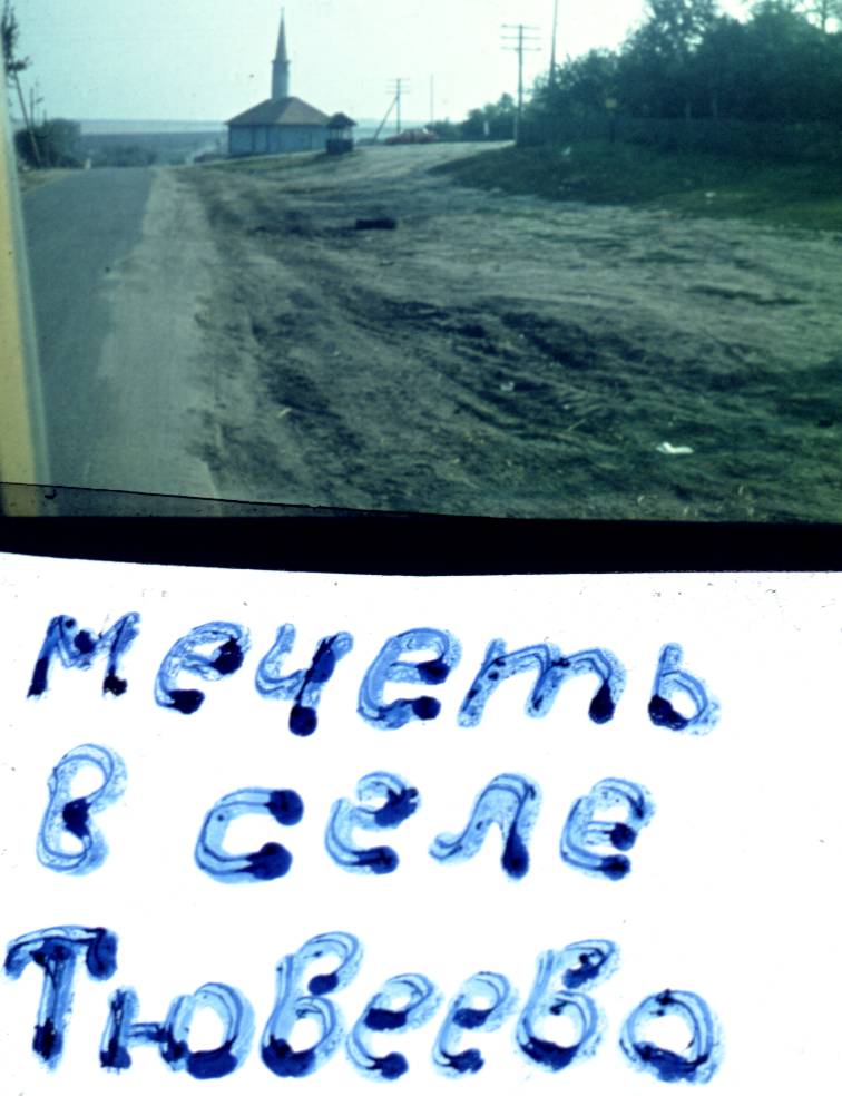 031.jpg