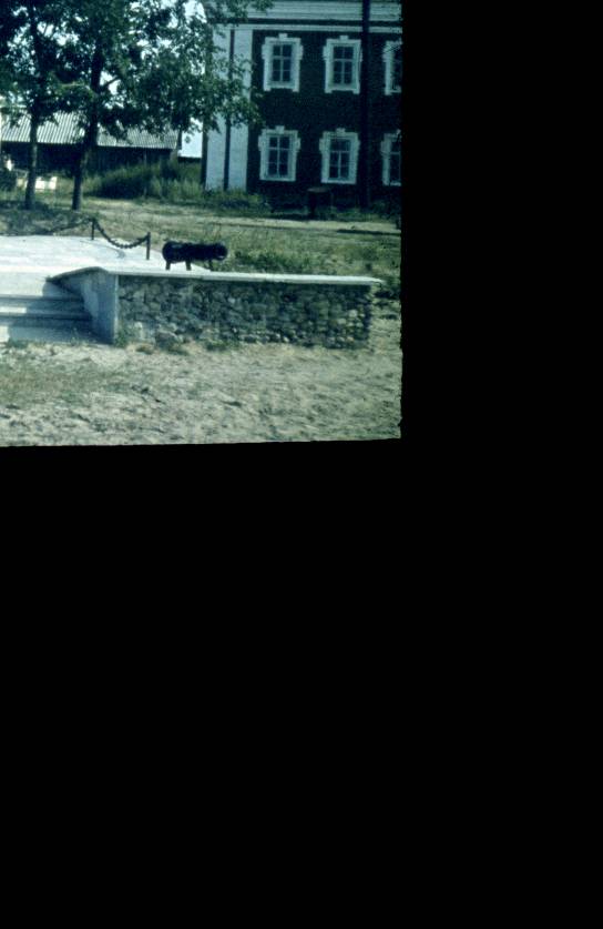 060.jpg