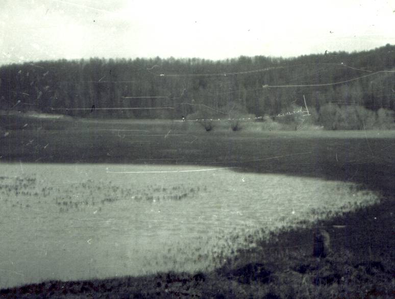 117.jpg