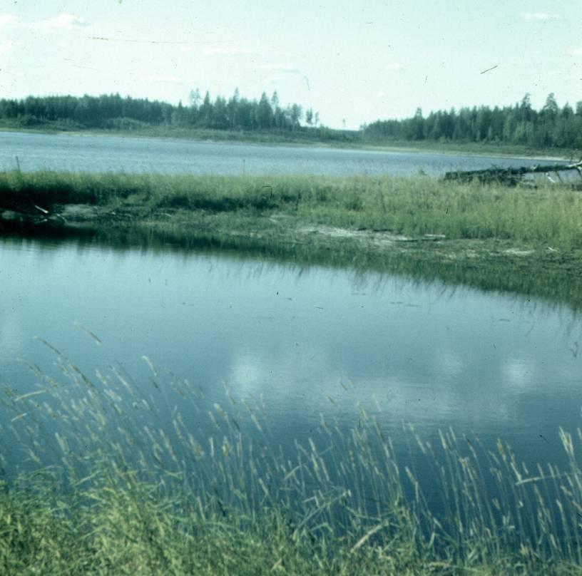 129.jpg