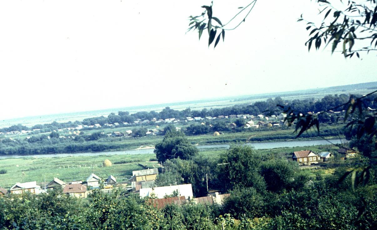 133.jpg