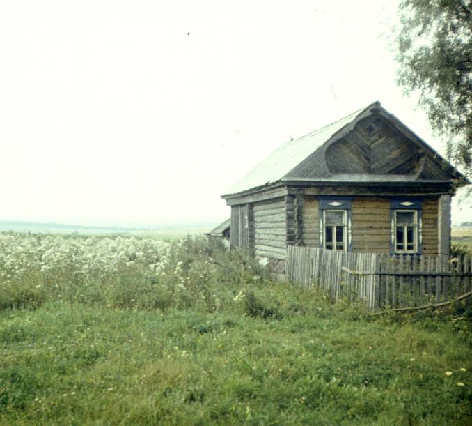 170.jpg