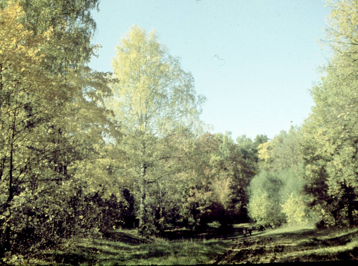 183.jpg