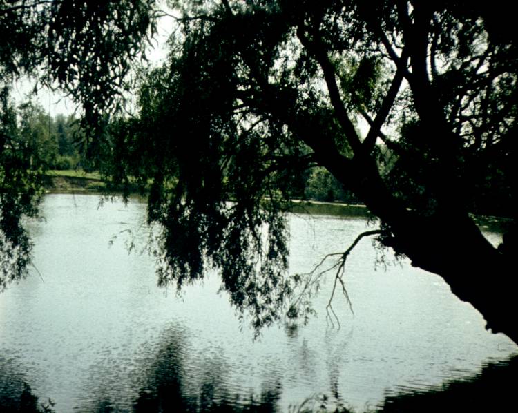 194.jpg