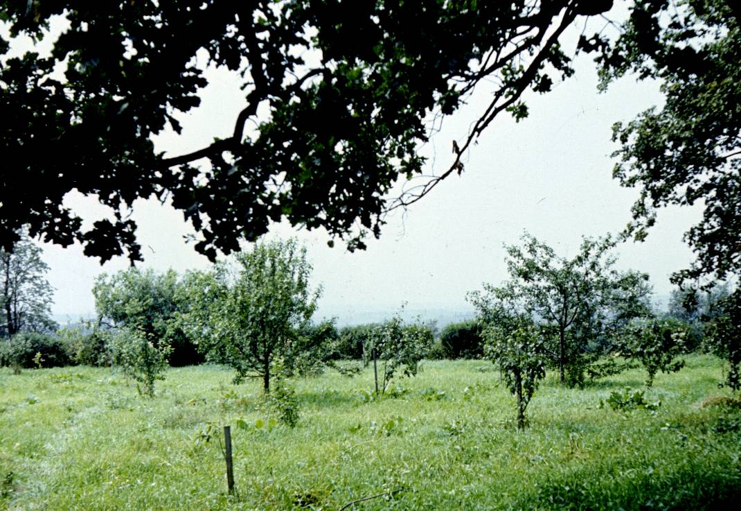 200.jpg