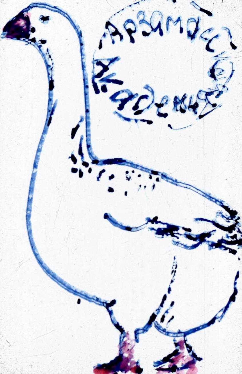 226.jpg