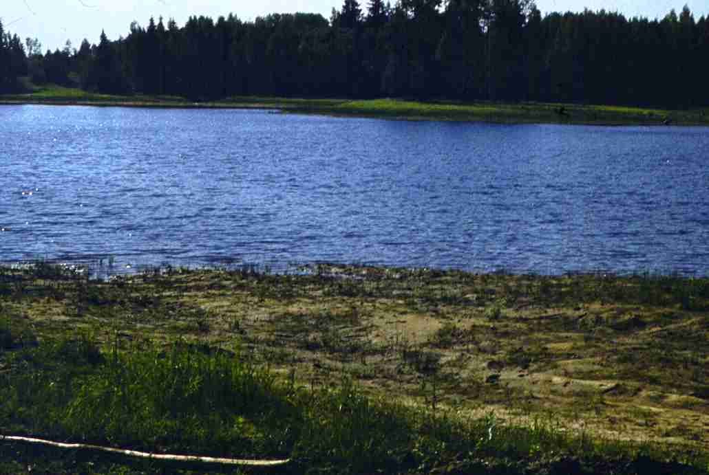 164.jpg