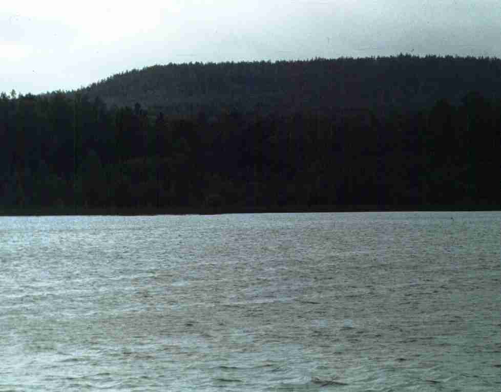 165.jpg