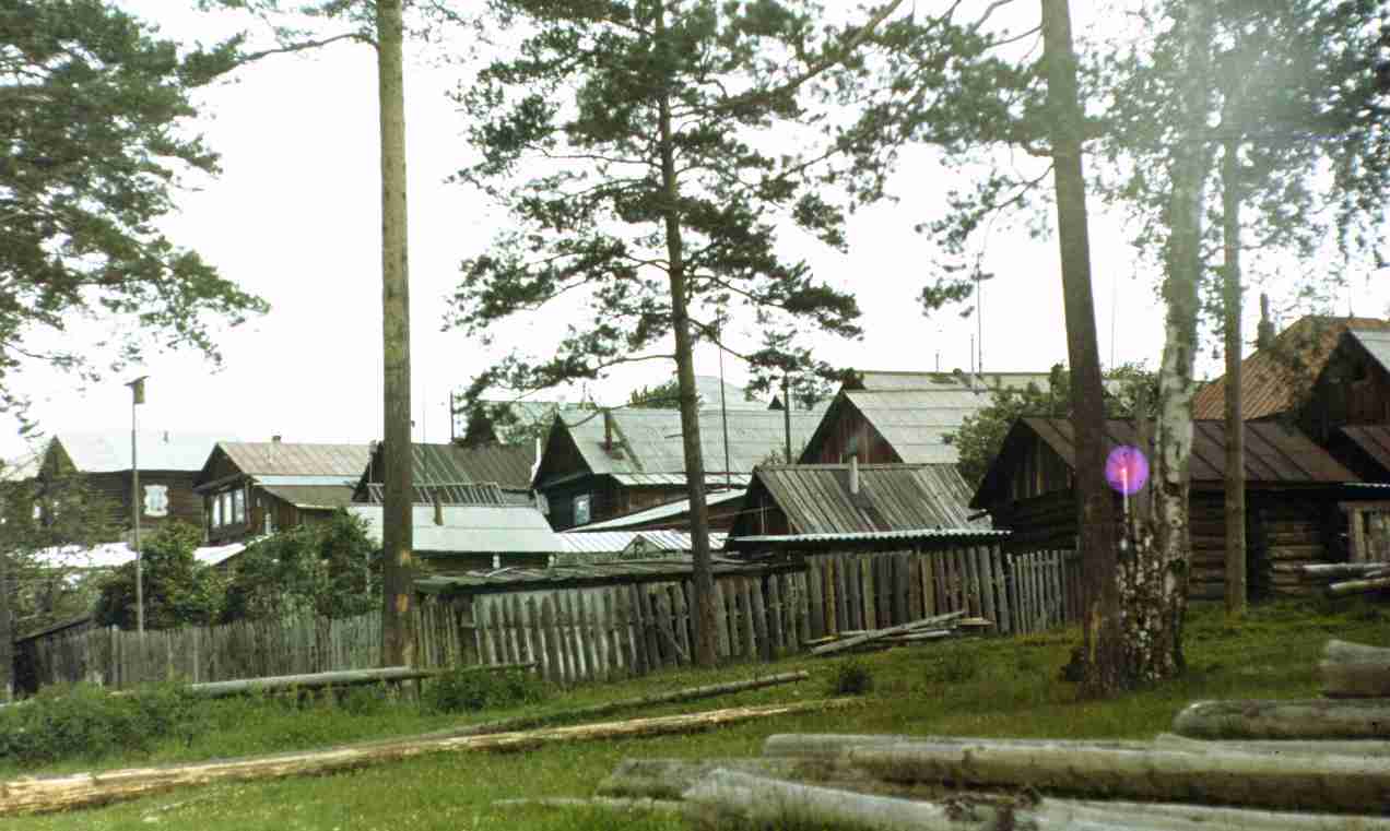 197.jpg