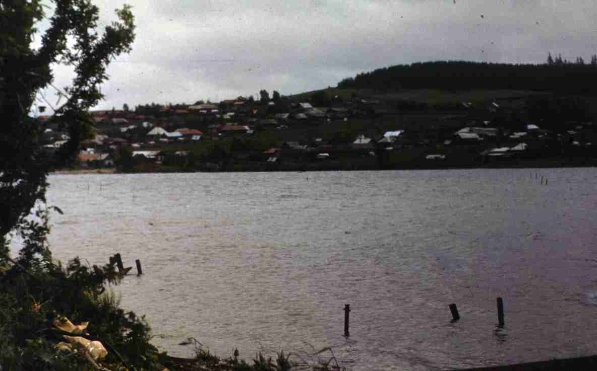206.jpg