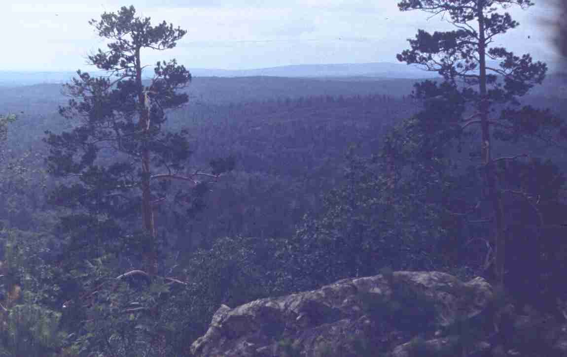 259.jpg
