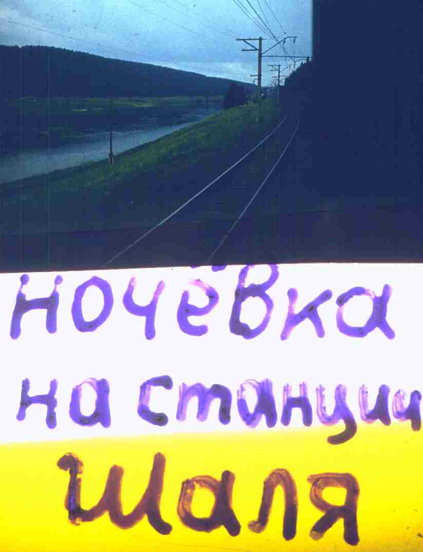 050.jpg