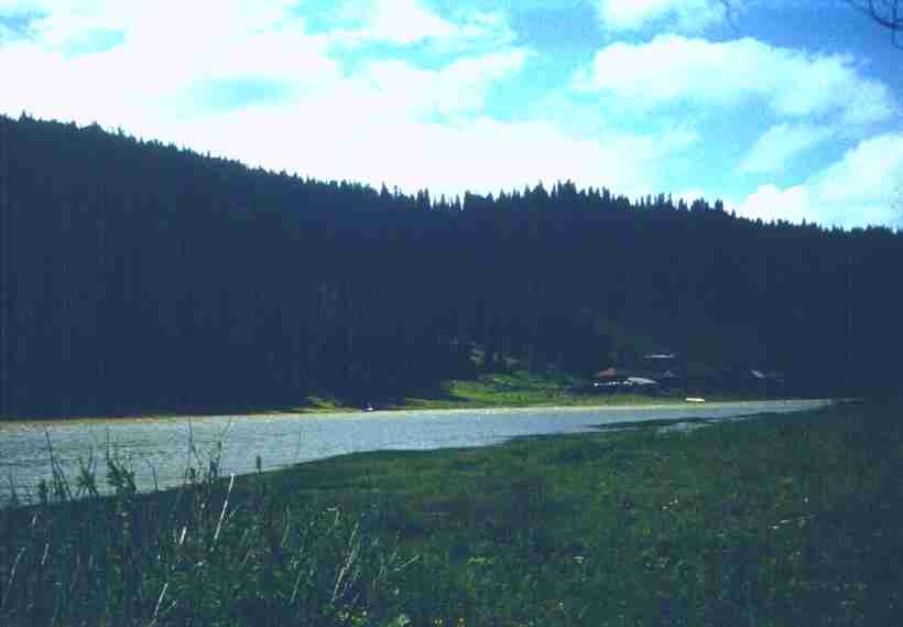 061.jpg