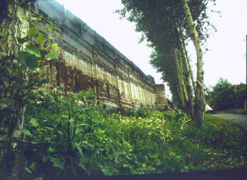 145.jpg