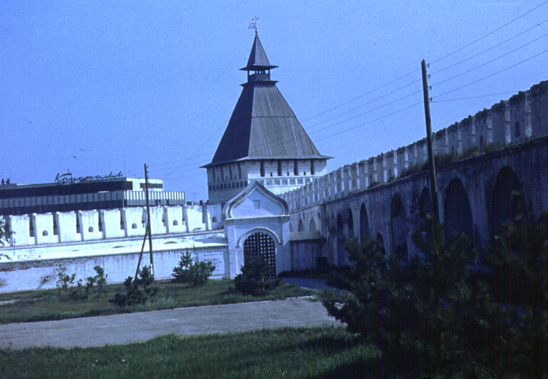 184.jpg