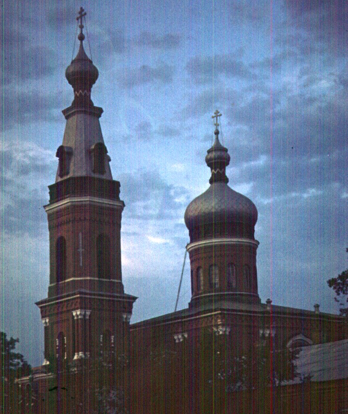239.jpg
