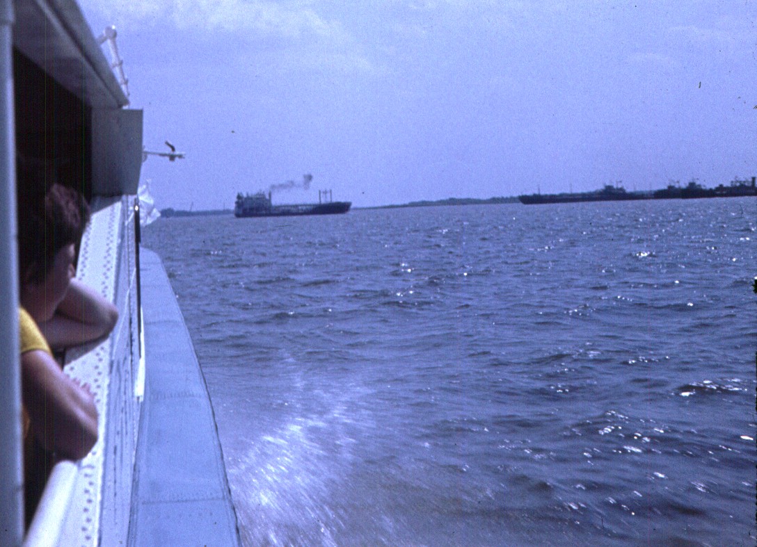 252.jpg